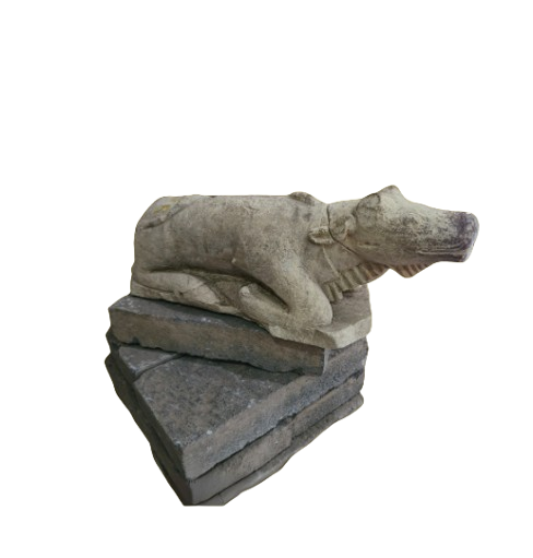 Arca Nandhi