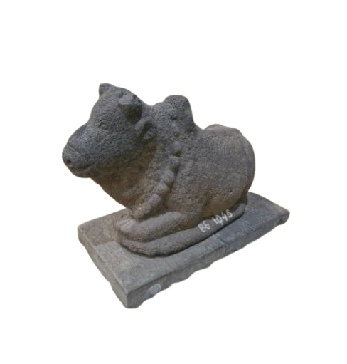 Arca Nandhi